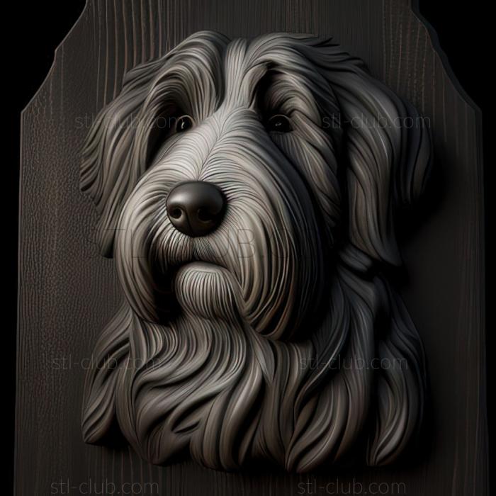 st Bearded Collie dog